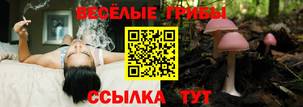 Галлюциногенные грибы Psilocybine cubensis  дарнет шоп  Кинель  Вход с VPN 